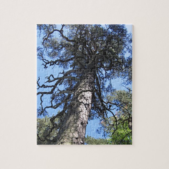 Pine Tree in Blue Sky, Palanga, LITHUANIA - Jigsaw Puzzle (Vertical)