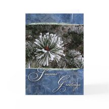 Pine tree in snow-Season's Greetings