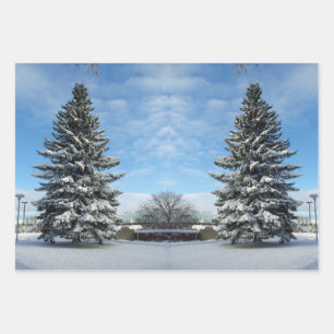 Pine Tree in Snow wrapping paper
