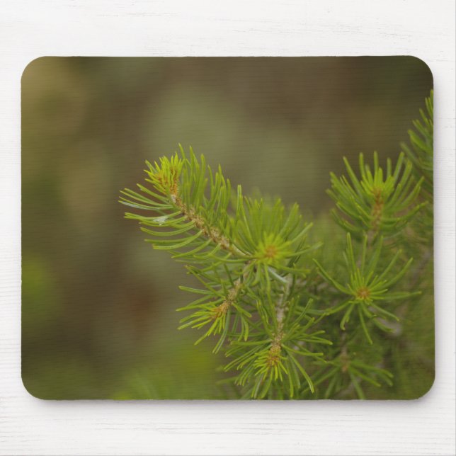 Pine Tree Mouse Pad (Front)