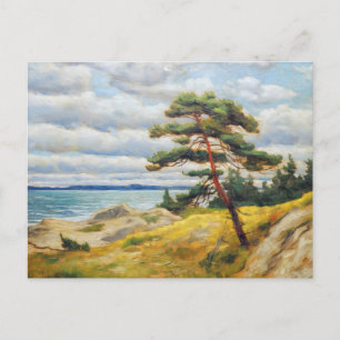 Pine tree on sanddune on baltic sea. oil painting postcard