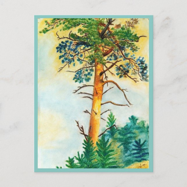 Pine tree pastel postcard (Front)
