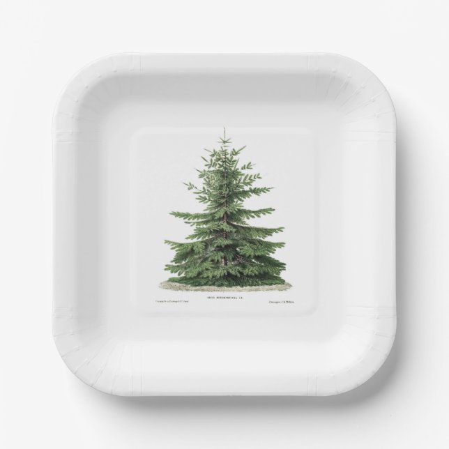 Pine Tree Plate Holiday Christmas Party Dinning (Front)