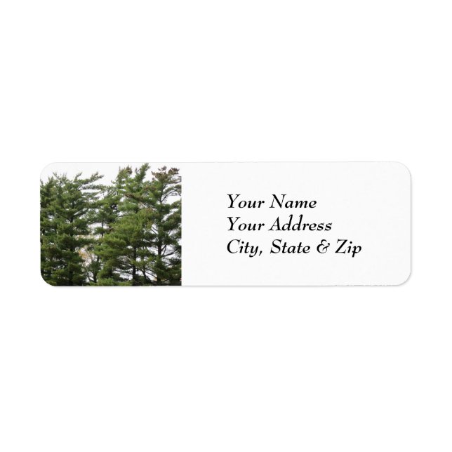Pine Trees (Front)