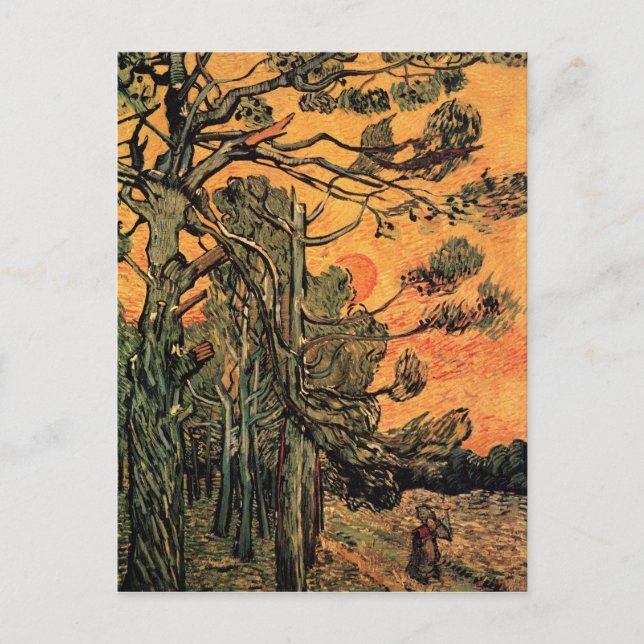 Pine Trees at Sunset by Vincent van Gogh Postcard (Front)