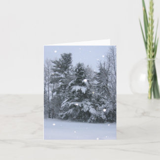 Pine Trees & Falling Snow Holiday Card