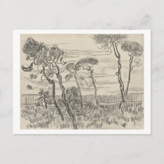 Pine Trees Front of Wall Asylum, Vincent van Gogh Postcard