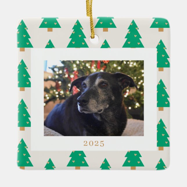 Pine Trees Holiday Photo Ceramic Ornament (Front)
