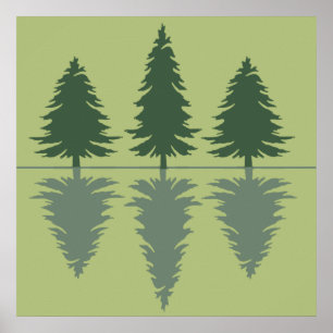 pine trees in a forest poster