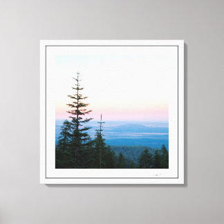 Pine Trees Infinite sky by Sidharta Canvas Print