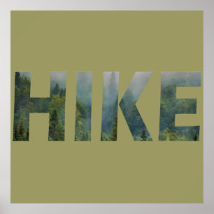 Pine trees Into the forest  Poster