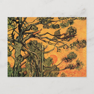 Pine Trees Red Sky Setting Sun by Vincent van Gogh Postcard