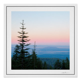 Pine Trees Sunset by Sidharta Poster