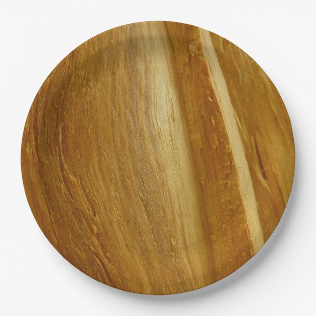 Pine Wood II Faux Wooden Texture Paper Plate (Front)
