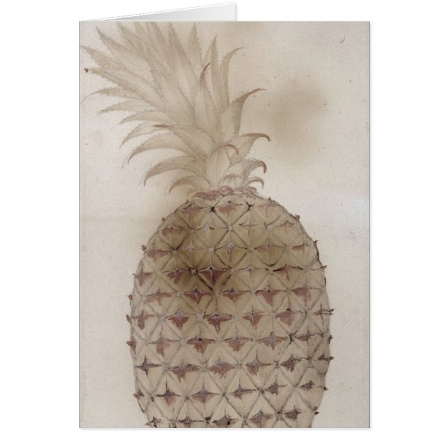 Pineapple, (Front)