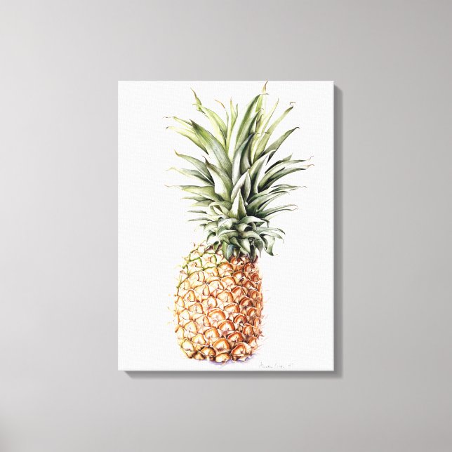Pineapple 1997 canvas print (Front)