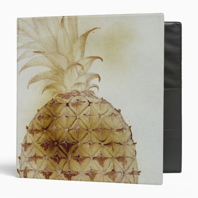 Pineapple Binder (Front/Inside)