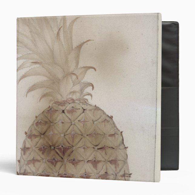 Pineapple, Binder (Front/Inside)