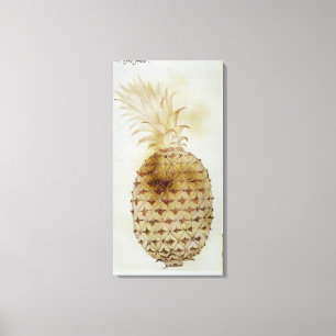 Pineapple Canvas Print