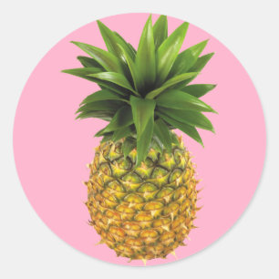 Pineapple Classic Round Sticker