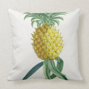 Pineapple engraved by Johann Jakob Haid (1704-67) Throw Pillow