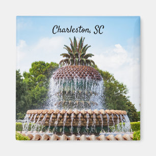 Pineapple Fountain in Charleston, SC Magnet