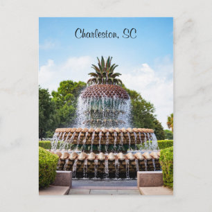 Pineapple Fountain in Charleston, SC Postcard