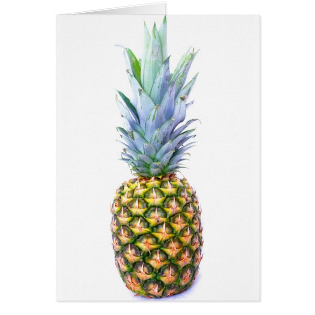 Pineapple Fruit Beach Dessert Colourful Tropical (Front)