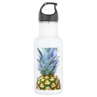 Pineapple Fruit Beach Dessert Colourful Tropical 532 Ml Water Bottle