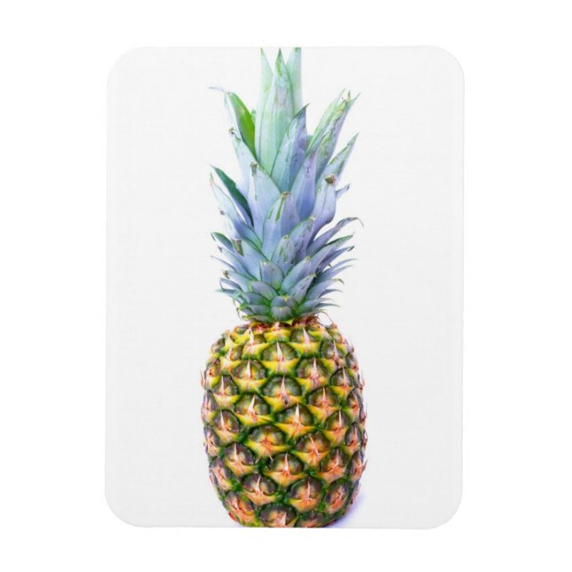 Pineapple Fruit Beach Dessert Colourful Tropical Magnet (Vertical)