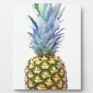 Pineapple Fruit Beach Dessert Colourful Tropical Plaque