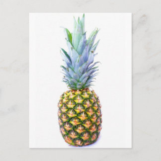 Pineapple Fruit Beach Dessert Colourful Tropical Postcard