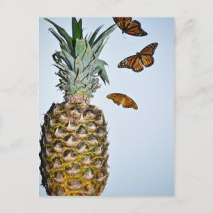 Pineapple Fun Postcard