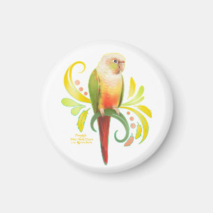 Pineapple Green Cheek Conure Magnet
