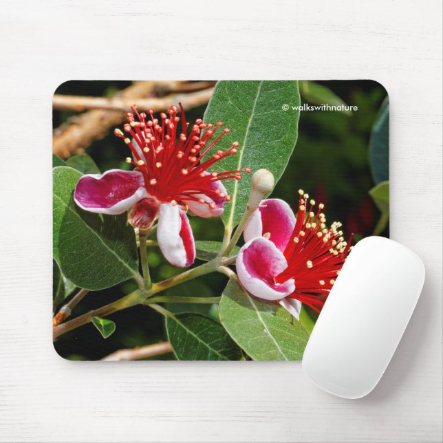 Pineapple Guava / Guavasteen Flowers Mouse Pad (With Mouse)