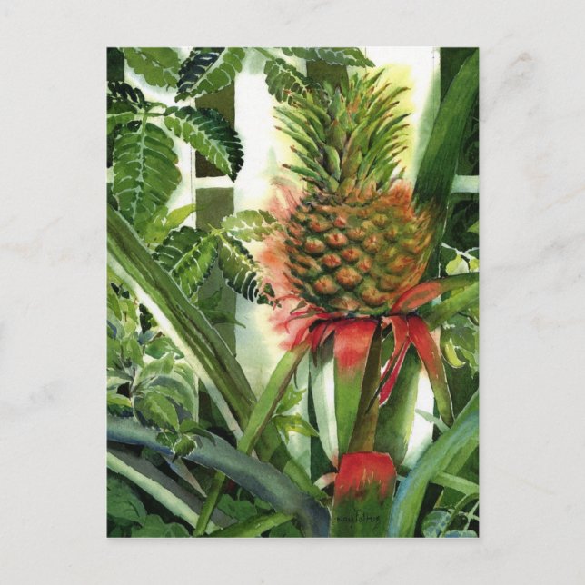 Pineapple in the Jungle Postcard (Front)