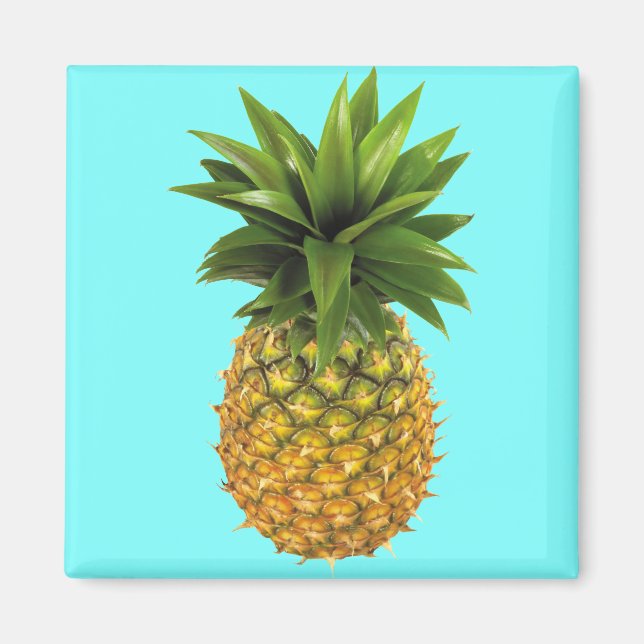 Pineapple Magnet (Front)
