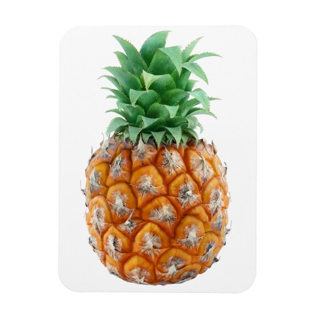 Pineapple Magnet (Vertical)