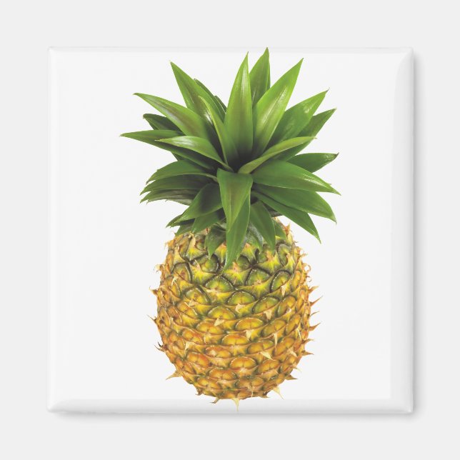 Pineapple Magnet (Front)