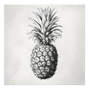 Pineapple Monochromatic Sketch Photo Print