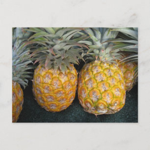 Pineapple Paradise Postcard