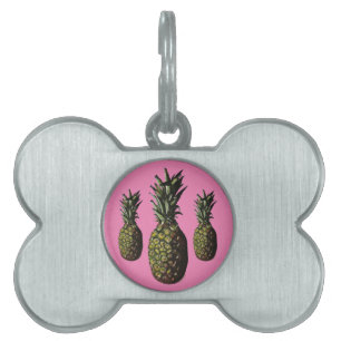 Pineapple Pet Tags