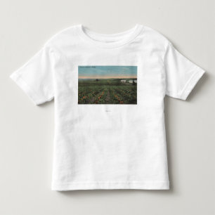 Pineapple Plantation Ready for Harvest in Florid Toddler T-shirt