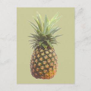 Pineapple Postcard