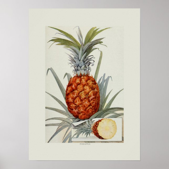 Pineapple Poster (Front)