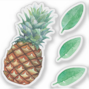 Pineapple Tropical fruits & leaf watercolor paint