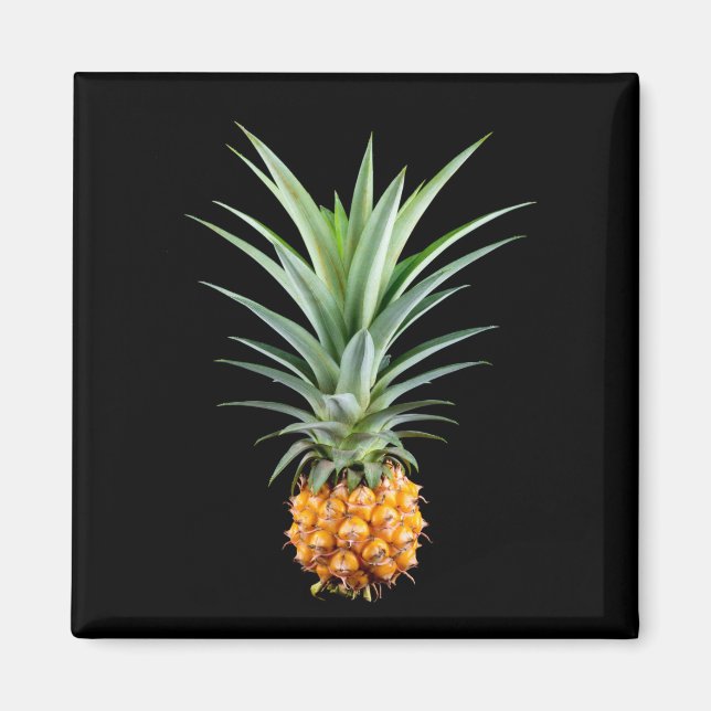 Pineapple with big hairdo on black background magnet (Front)