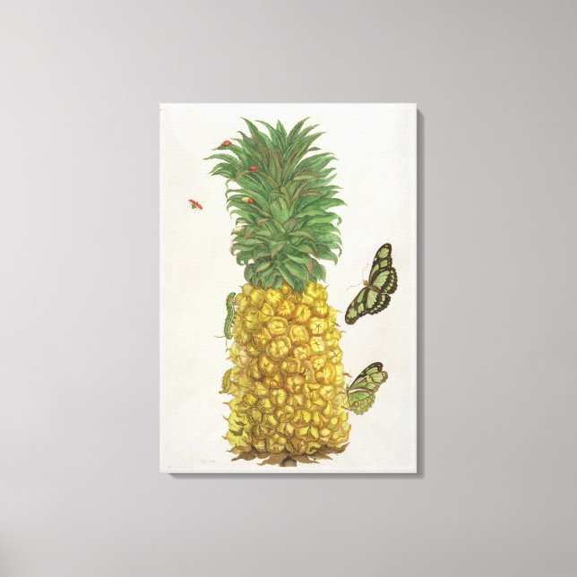 Pineapple with caterpillar and butterflies (hand-c canvas print (Front)