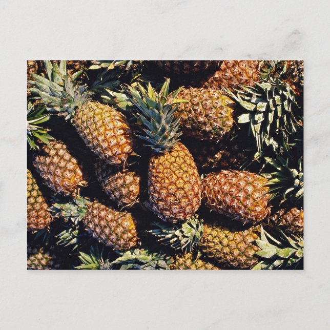 Pineapples, Tulum, Mexico Postcard (Front)