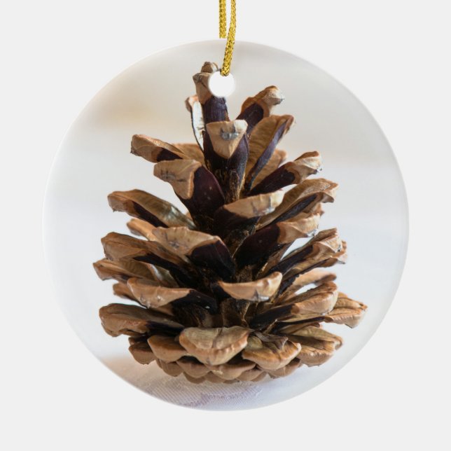 Pinecone Ceramic Ornament (Front)